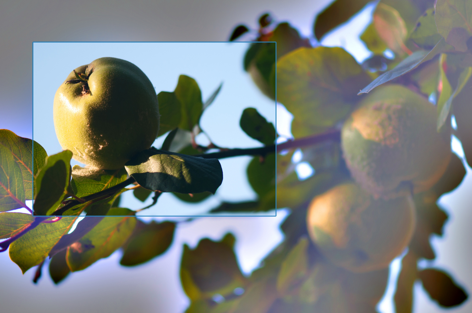 Team im Fokus - typisch Herbst