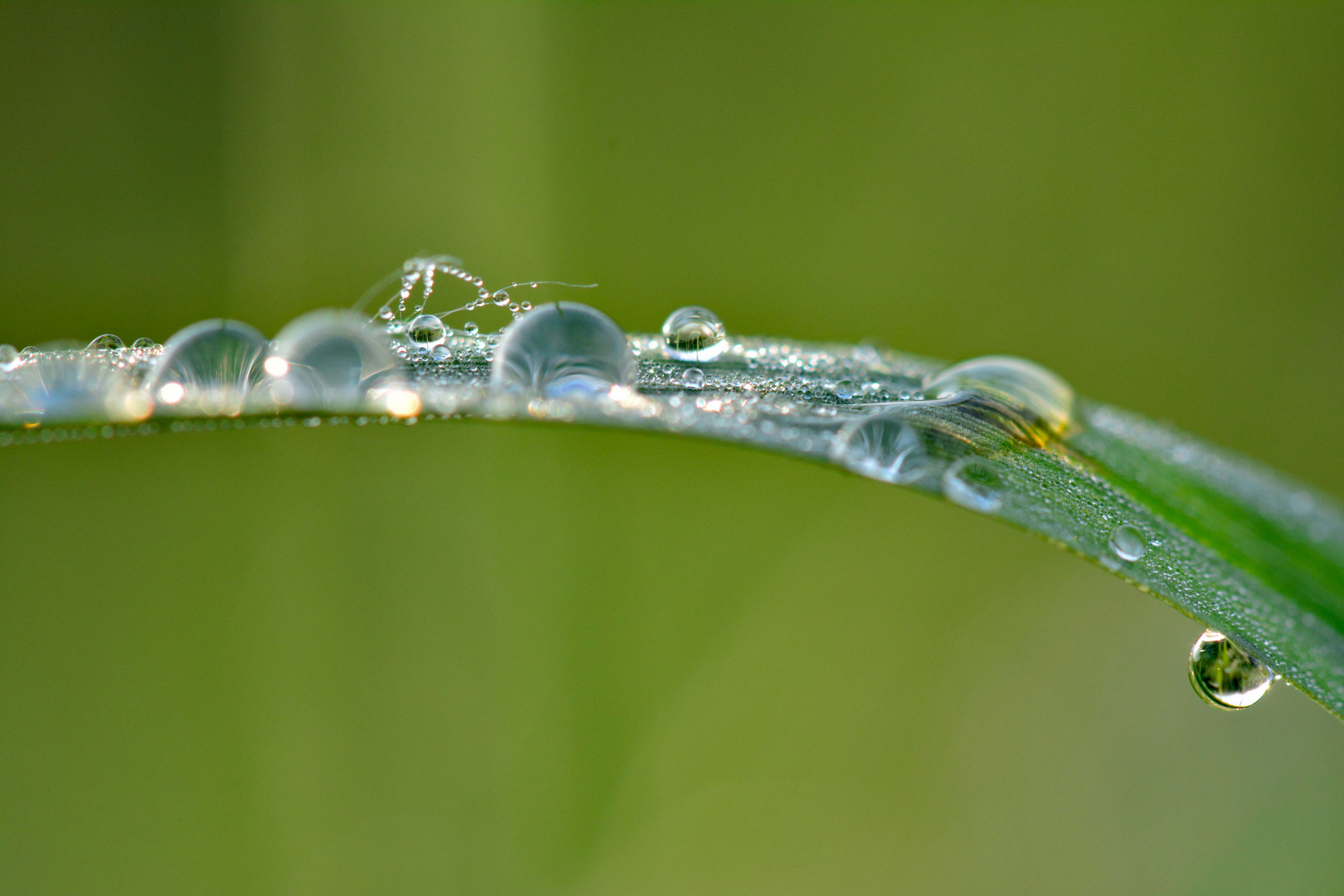 TEAM IM FOKUS - Wassertropfen