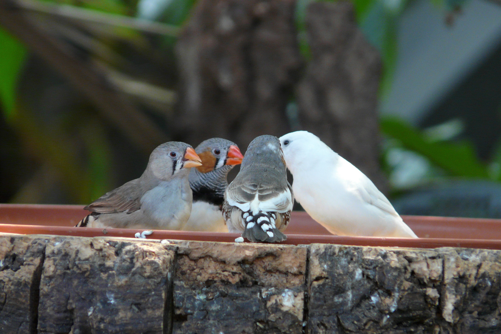 Team-Meeting