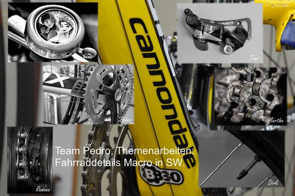 Team Pedro, Themenarbeiten: Fahrraddetails Macro in SW.