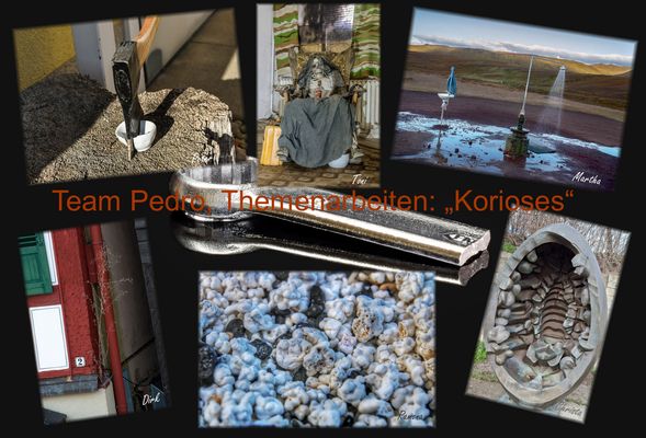 Team Pedro, Themenarbeiten: "Kurioses"
