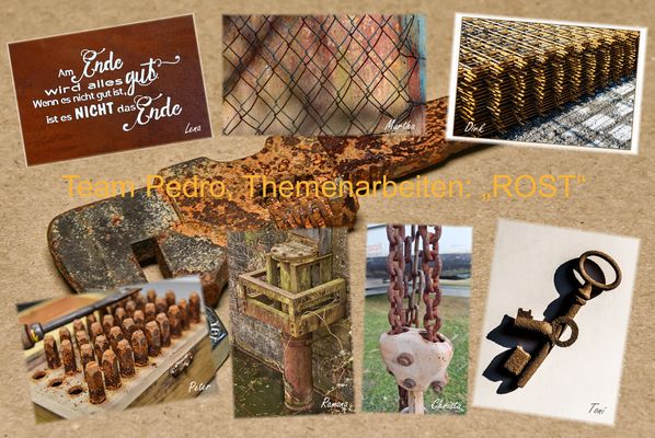 Team Pedro, Themenarbeiten: "ROST"
