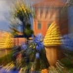 Team Pedro, Themenarbeiten: "Unscharfe Bilder"