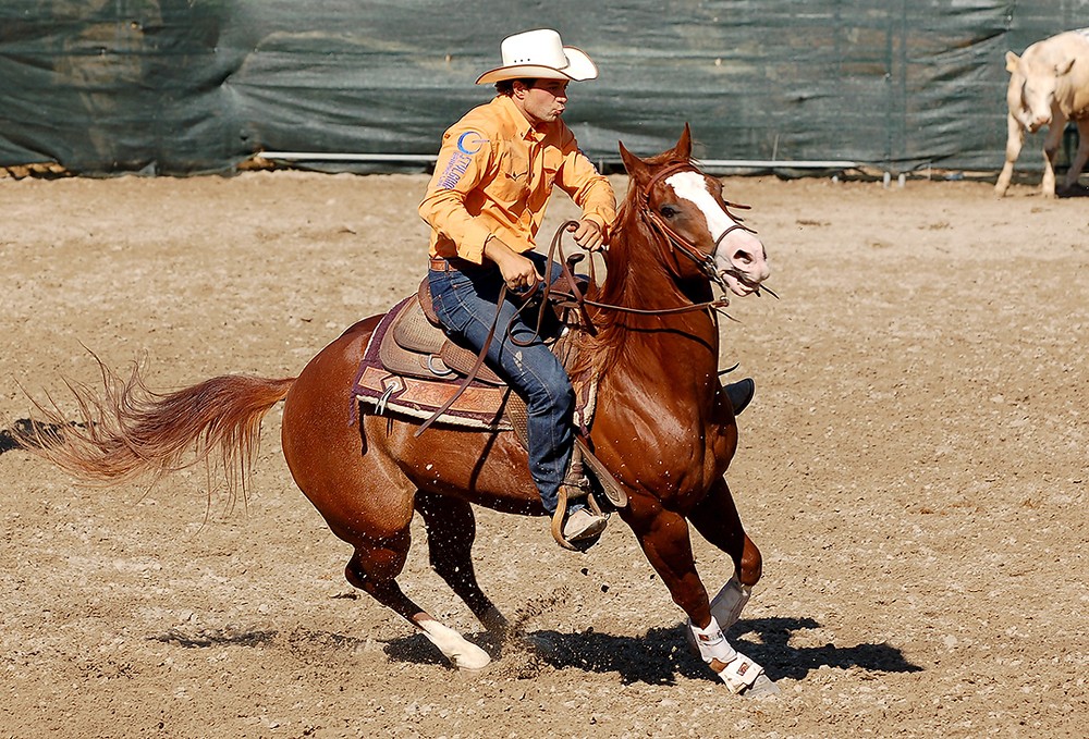 TEAM PENNING