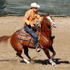 TEAM PENNING