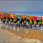 TEAM ROSETTE (tour des yoles 2010 Martinique)