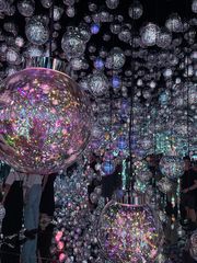 TeamLab Borderless Tokyo