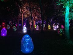 TeamLab Botanical Garden Osaka