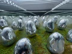 TeamLab Planets Tokyo