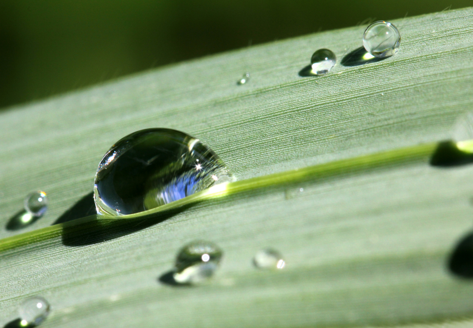 Teardrops from heaven