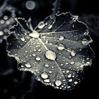 tears from the sky