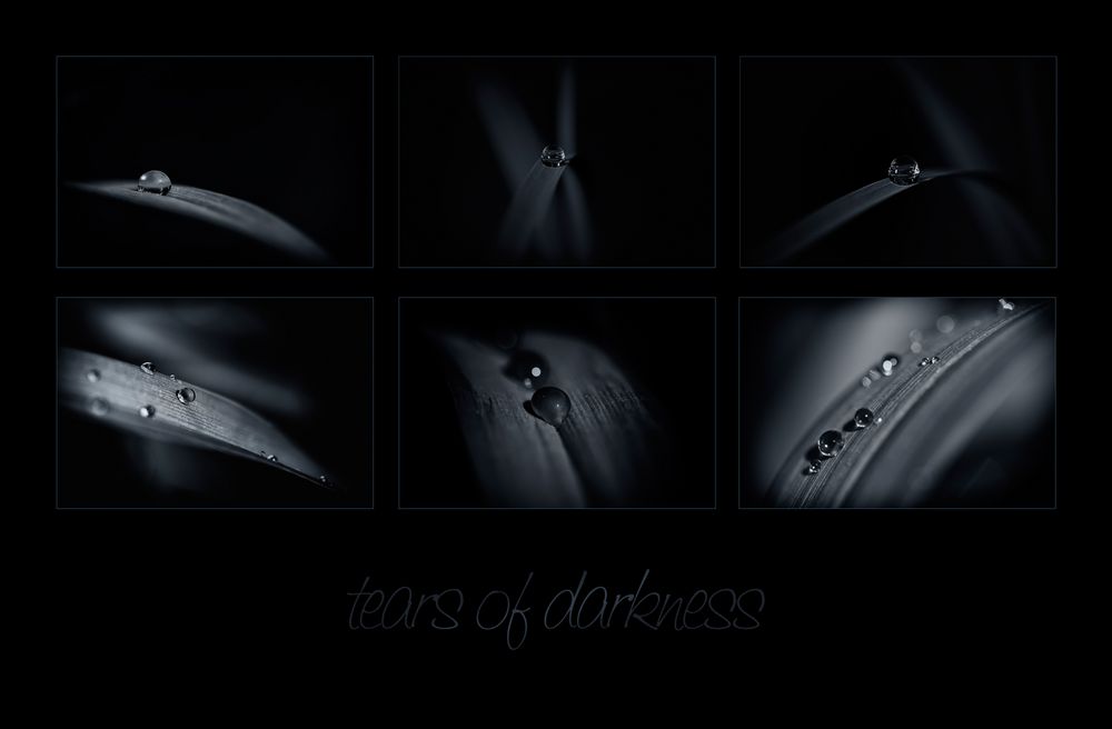 tears of darkness by Petra V 
