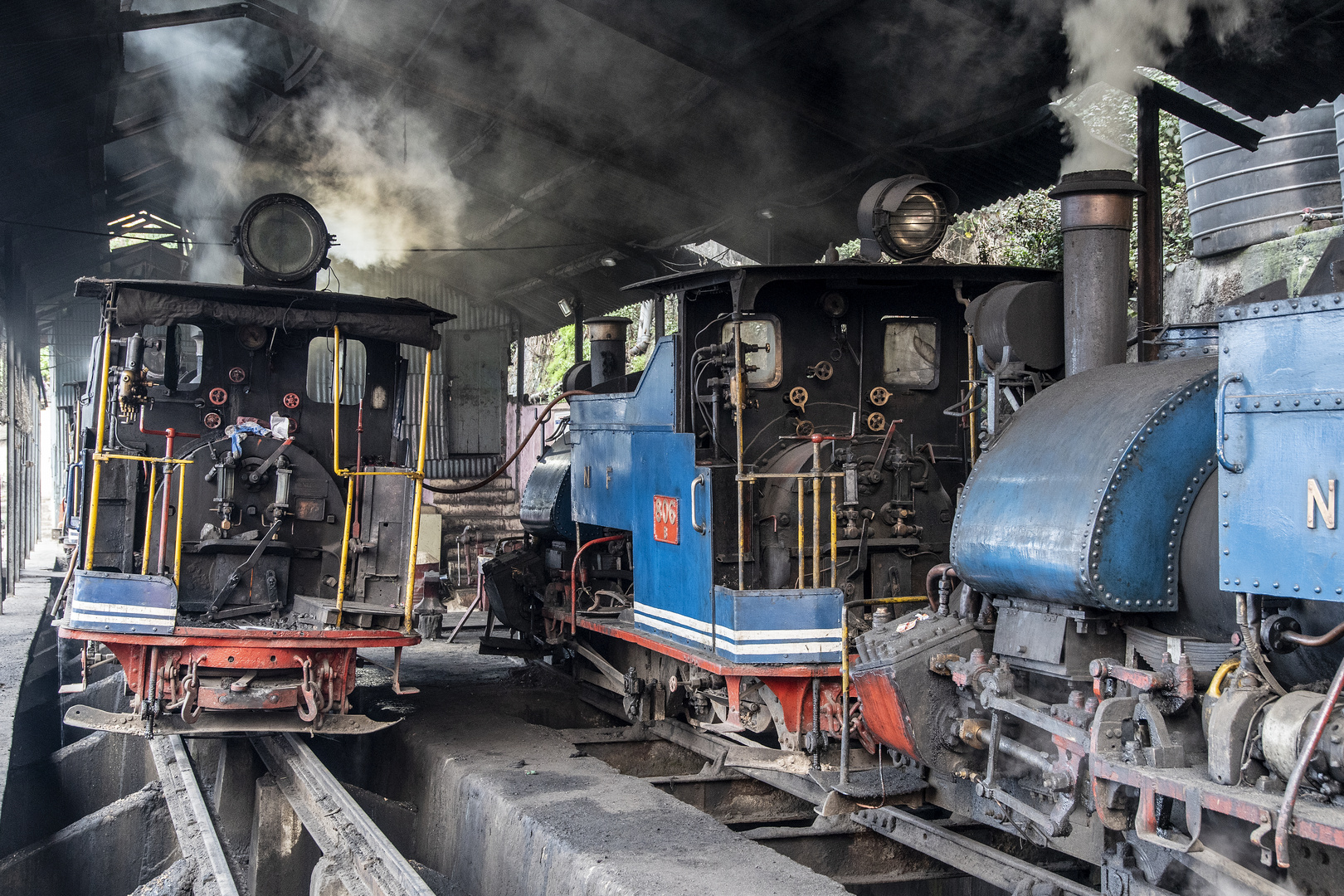 Teatime bei Volldampf - Darjeeling