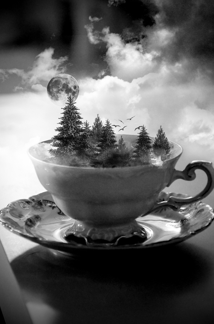 teatime in wonderland