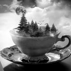 teatime in wonderland