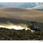 Teballant la terra - Working the land