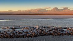 Tebenquiche: Lagune mitten im Salzsee von Atacama