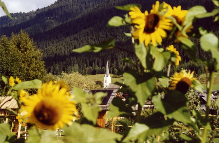 Techendorf im Spätsommer