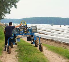 Technik für die Spargelernte