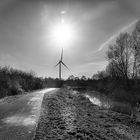 Technik in der Natur im Gegenlicht