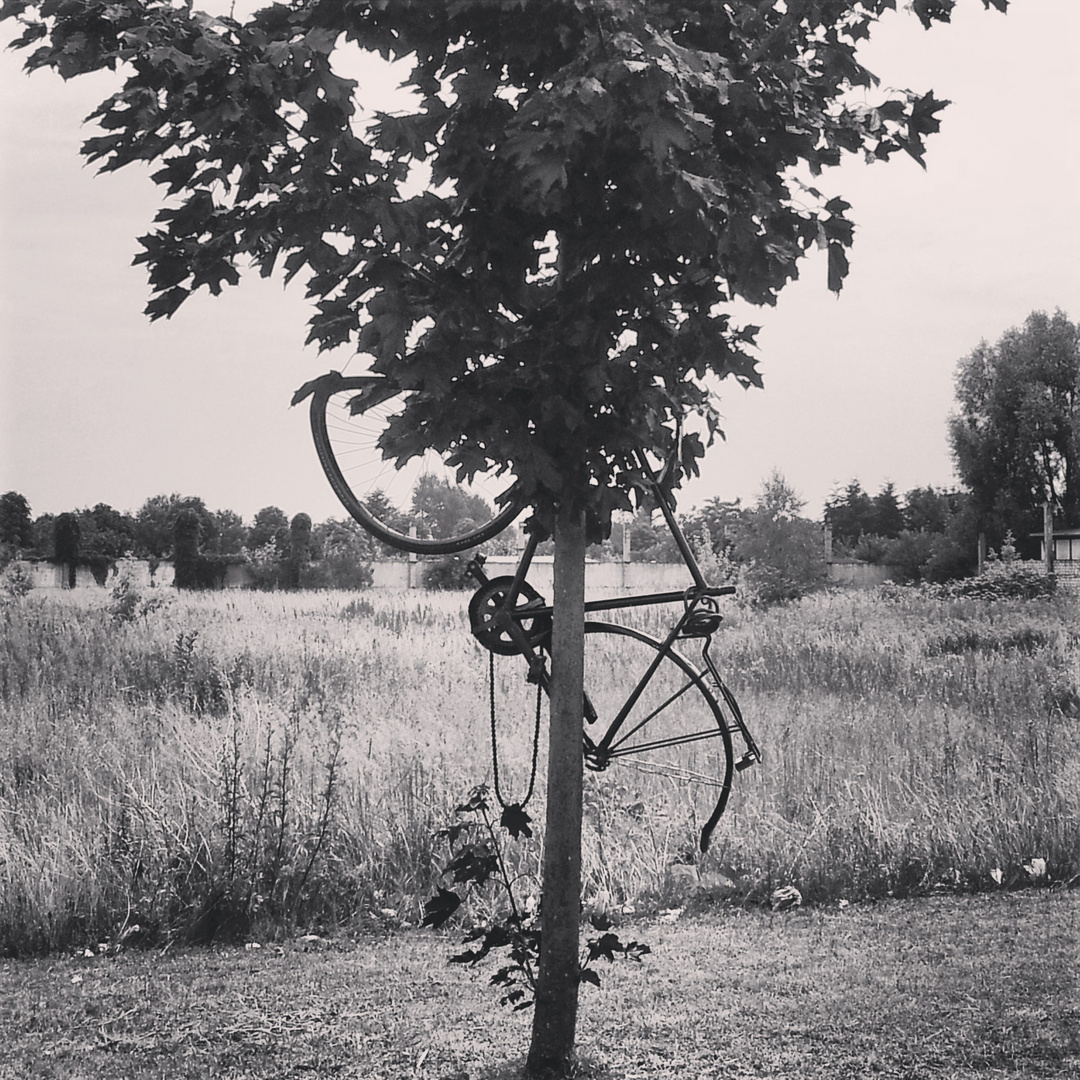 Technik in Natur