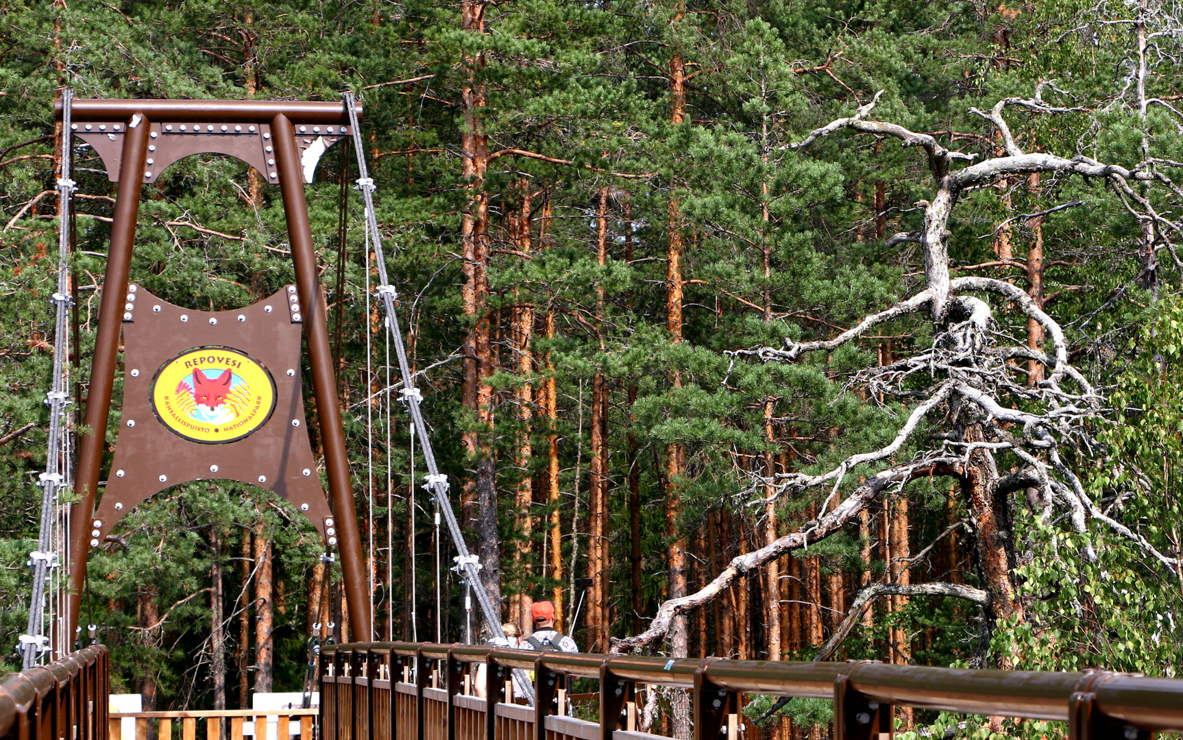  TECHNIK & natur