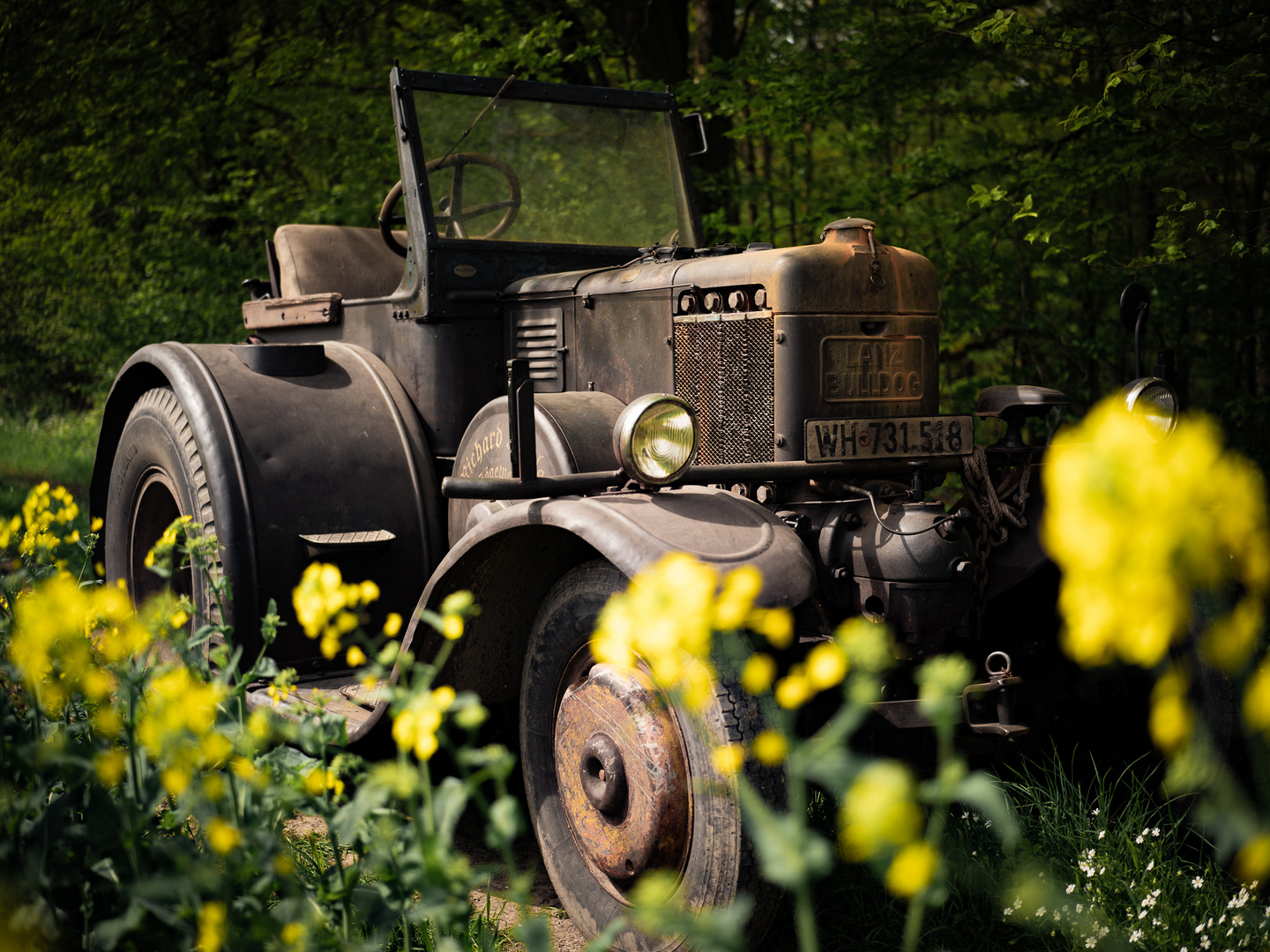 Technik trifft Natur 03