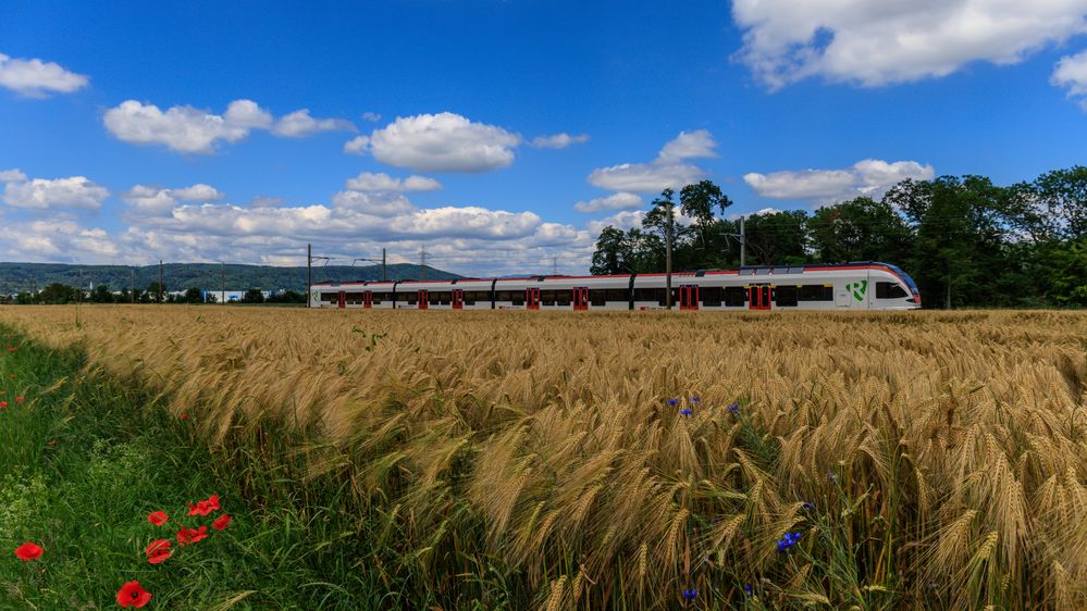 Technik trifft Natur