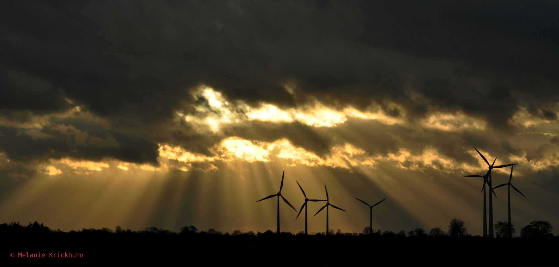 Technik trifft Natur