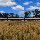 Technik trifft Natur