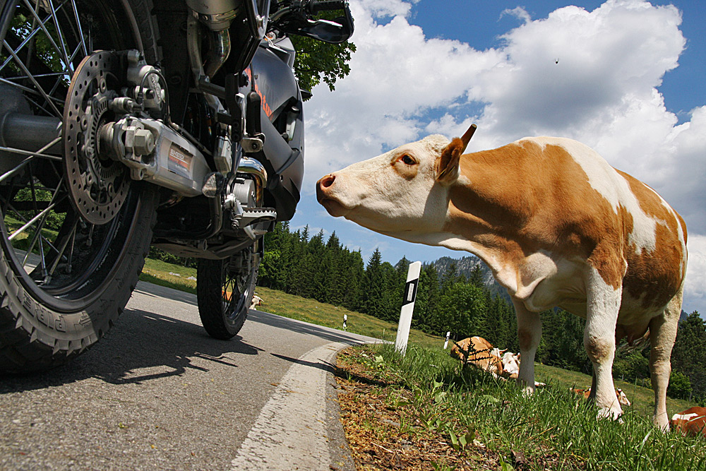 Technik und Natur