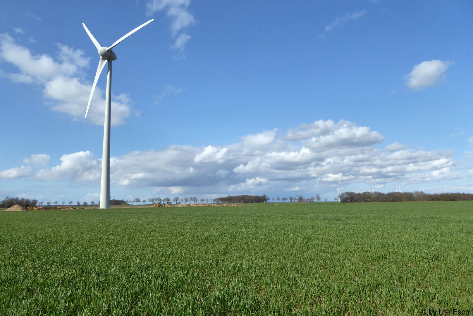 Technik und Natur