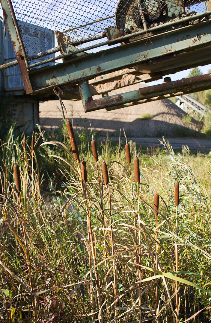 Technik und Natur