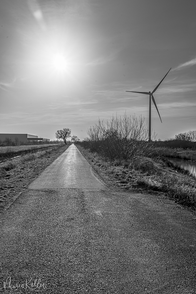 Technik und Natur im Gegenlicht S-W