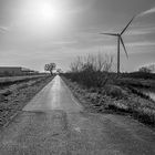 Technik und Natur im Gegenlicht S-W