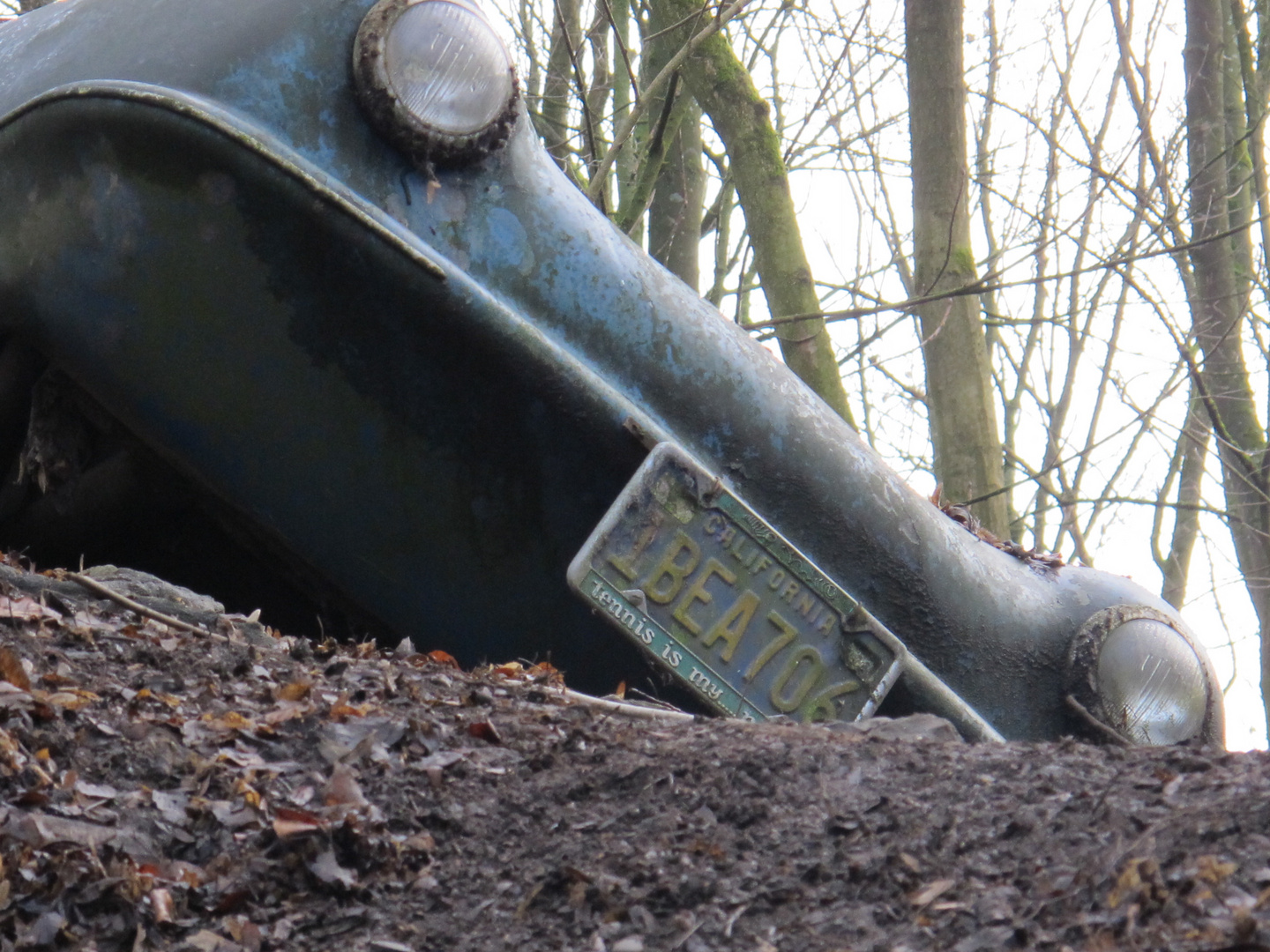 Technik vs. Natur