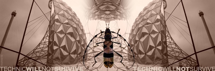 Technik wird nicht überleben