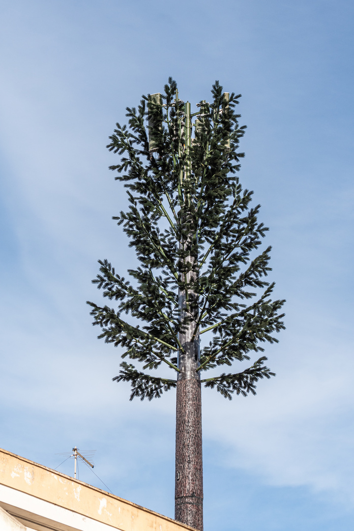 Technikbaum