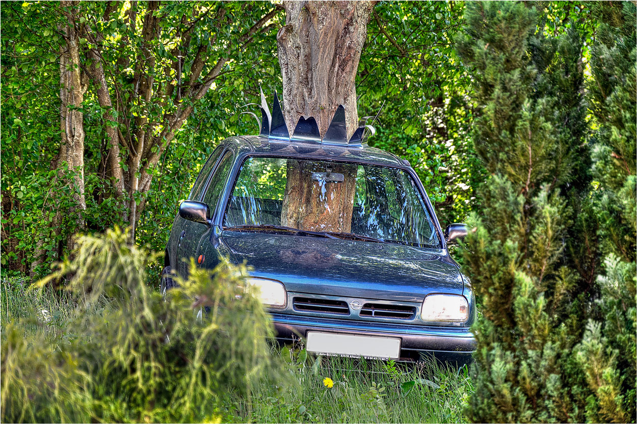 Technik+Natur