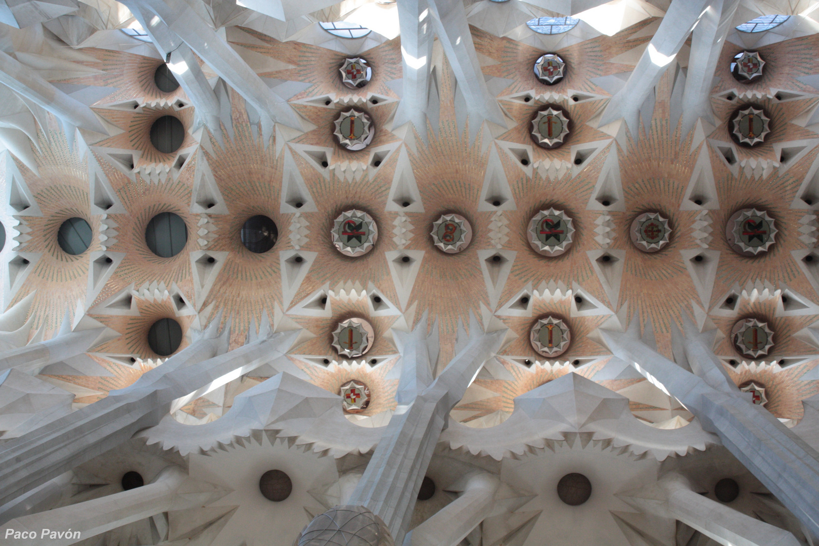 Techo. Sagrada Familia. Plafond de na nef centrale de la Sagrada Familia de Barcelone.