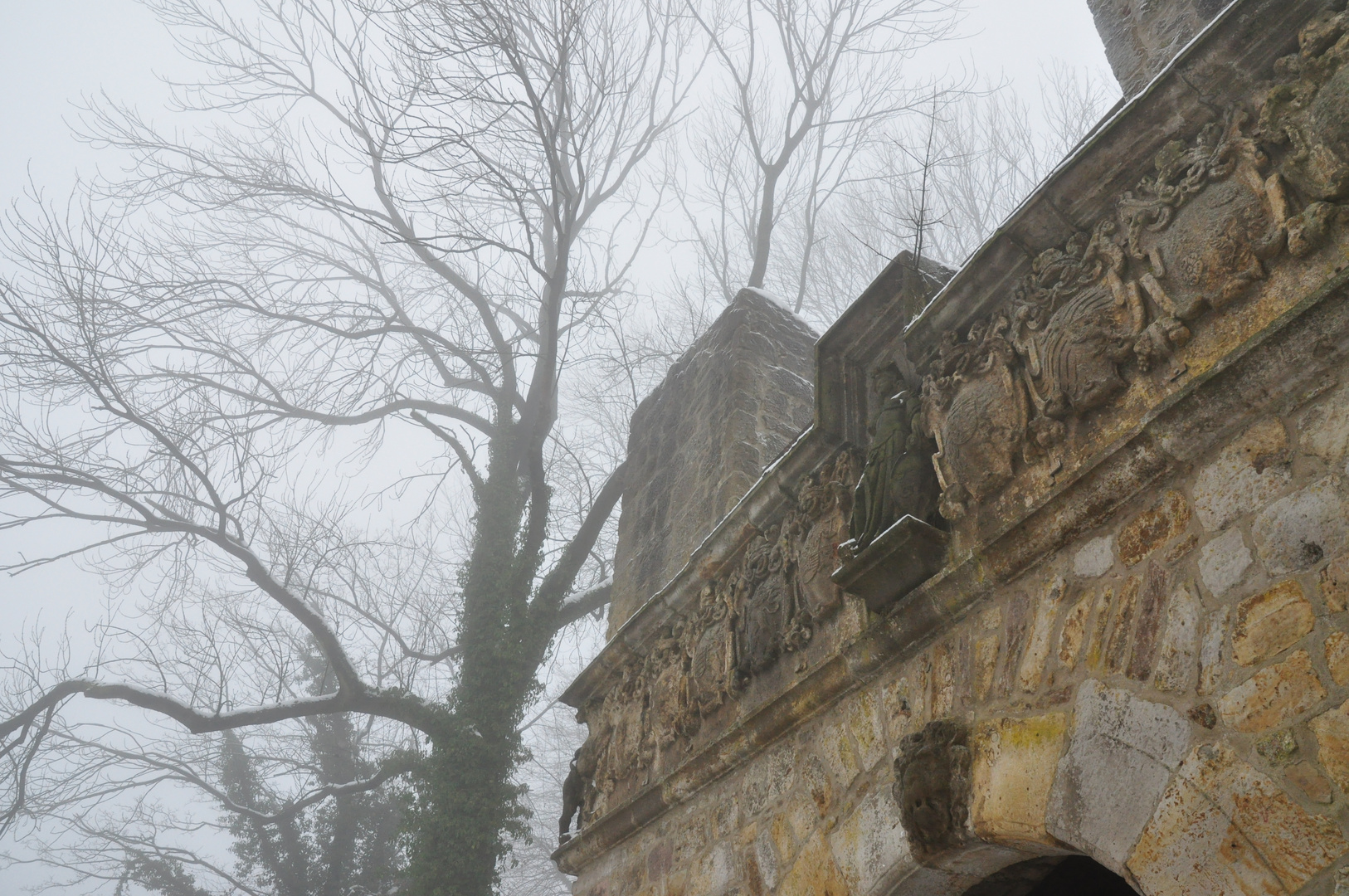 Tecklenburg im Nebel