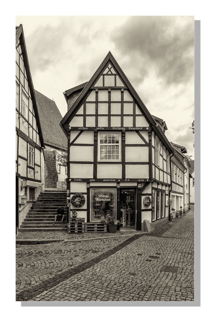 Tecklenburg - Mauer Blümchen