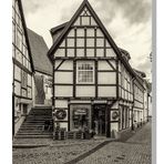 Tecklenburg - Mauer Blümchen