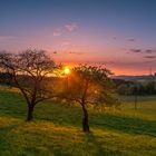 Tecklenburger Land im Abendlicht