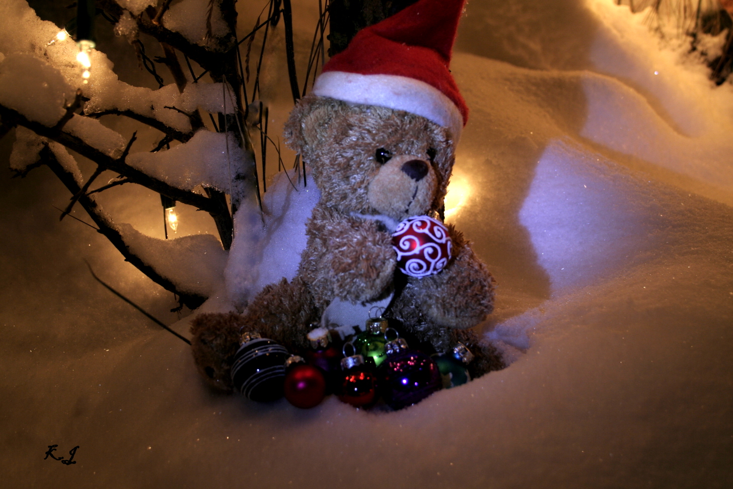 Teddey im Schnee