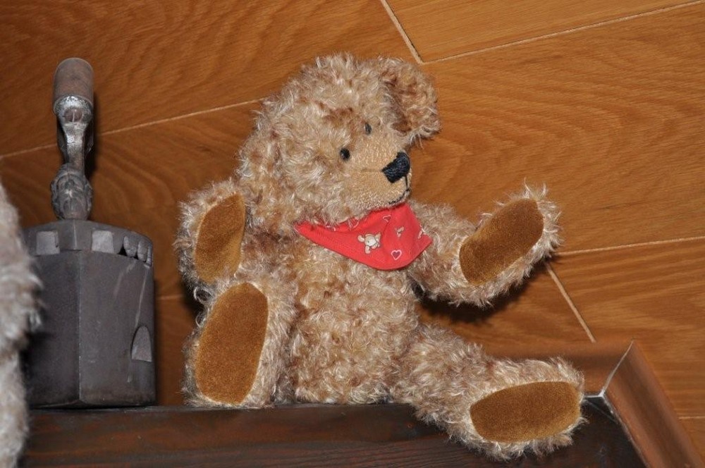 Teddy 2