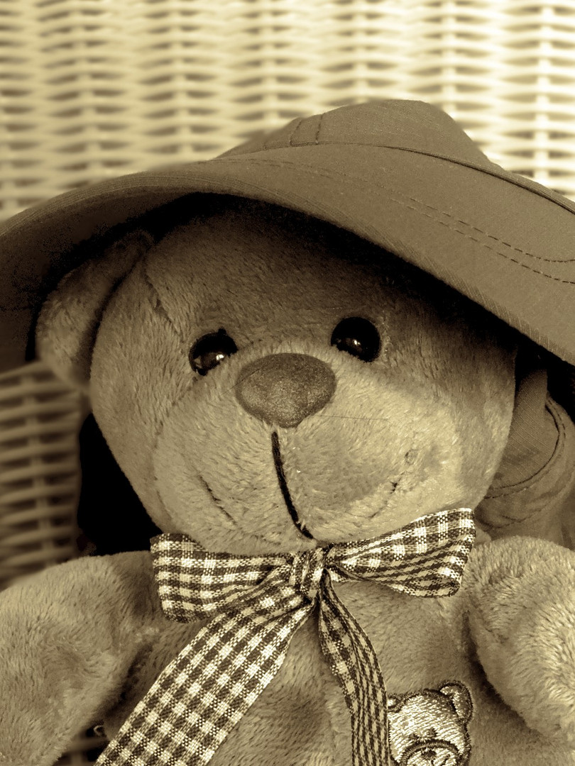 Teddy **