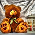 Teddy