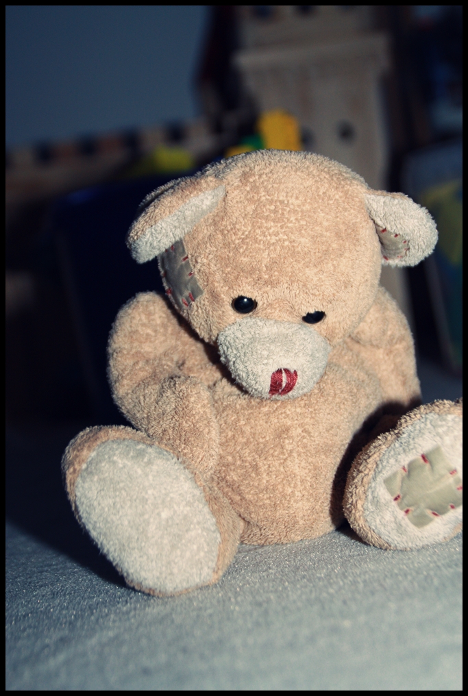 teddy allein zu haus ! :D