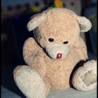 teddy allein zu haus ! :D